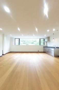 白金台４丁目戸建 
