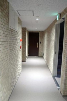 Ｃｏｕｒｔ　Ｈａｔｓｕｄａｉ 