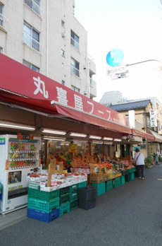 ロイヤルグリーン本郷 