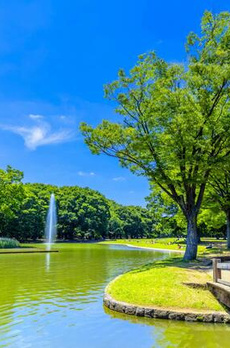 ＡＮＱＩ代々木公園前 
