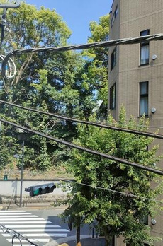 ニューライフ一番町 