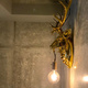Ｒｉｍｂａ　Ｔｏｋｙｏ　Ｏｓｈｉａｇｅ 