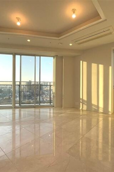 南青山1丁目マンション 