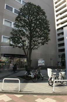 オリンピア三田 