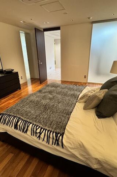 南麻布3丁目マンション 