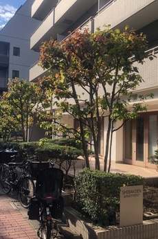 芝公園アパートメント 