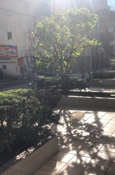 芝公園アパートメント 
