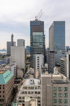 Ｗｈｉｔｅ　Ｔｏｗｅｒ　Ｈａｍａｍａｔｓｕｃｈｏ 