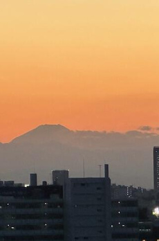パルシオ広尾 