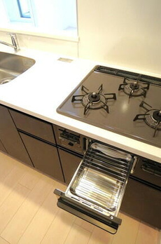 ラティエラ品川西大井 
