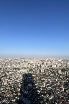 ＴＨＥ　ＴＯＷＥＲ　ＪＵＪＯ 