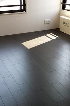 ラピス代田橋 