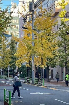 カーチェ湊 