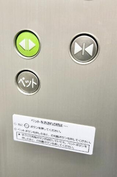 プレール・ドゥーク菊川 