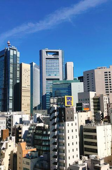 リビオレゾン新橋ｎｅｘ 
