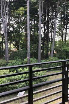 ザ・パークハウス御苑内藤町 
