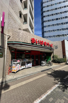 ブランシェ池袋Ⅲ 