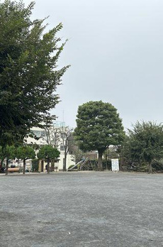 パークコート渋谷大山町　ザ　プラネ　清邸 