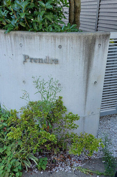 Ｐｒｅｎｄｒｅ 