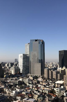 ザ・パークハウス西新宿タワー６０ 