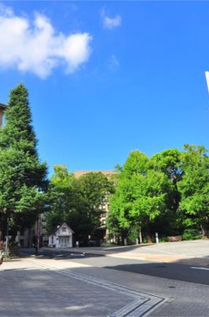 Ｇｒａｎｄ　Ｐｅａｋ　Ｗａｓｅｄａ 