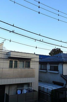 メゾンブランシュ 
