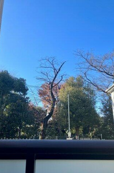 パークコート渋谷大山町ザプラネ清邸 