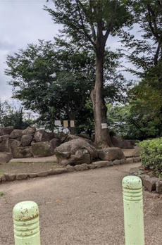 西荻北５丁目戸建 