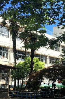 北烏山１丁目戸建て 