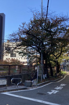 中目黒マンション 