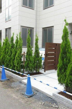 部屋番号：３０３ 