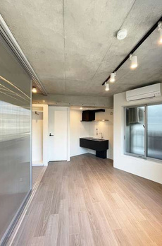 スタイリオＸ白金 