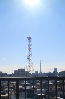 グリーンスターハイツ 