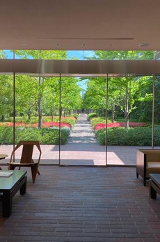 ブランズシティ世田谷中町エミネントフォレスト 