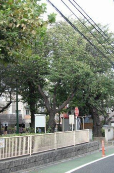 カテリーナ文京千駄木 