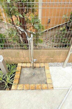 Ｍａｉｓｏｎ　Ｓｕｎ 