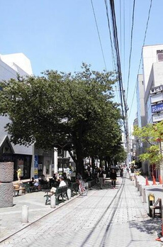 奥沢テラス 