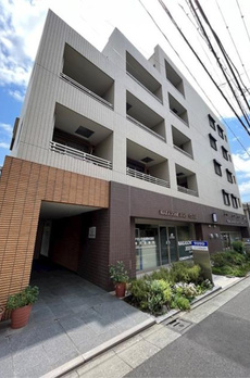 ＷＩＳＴＥＲＩＡ　ＫＯＭＡＺＡＷＡ 