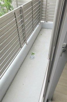 部屋番号：３０１ 