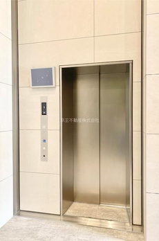 ＭＯＤＩＥＲ　ＫＯＭＡＺＡＷＡ 