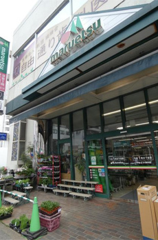 ＭＯＤＩＥＲ　ＫＯＭＡＺＡＷＡ 