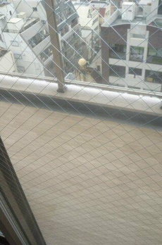 フレンシア文京関口 