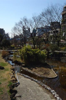 Ｍｅａｎｕｉ　ｋｉｎｓｈｉｃｈｏ（メアヌイ錦糸町） 