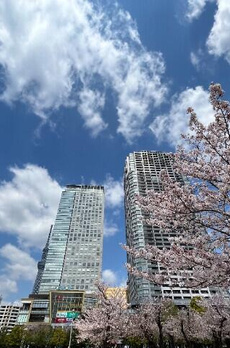 ＫｏＨａ錦糸町 