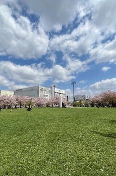 ＫｏＨａ錦糸町 