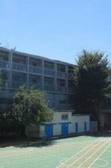 表参道ヒルズゼルコバテラス 