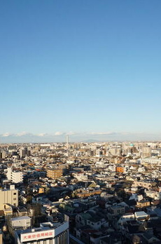 ＴＨＥ　ＴＯＷＥＲ　ＪＵＪＯ 