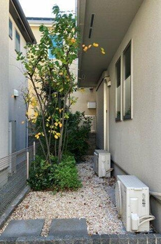 赤堤戸建 