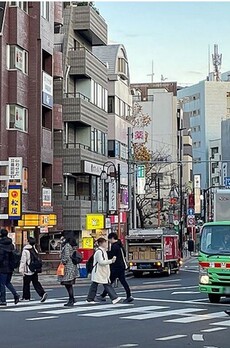 ハイネス早稲田 周辺