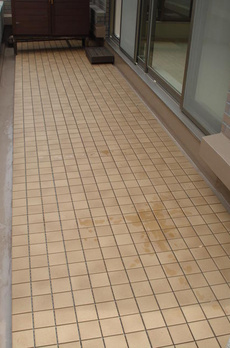 グランフォルム池田山 